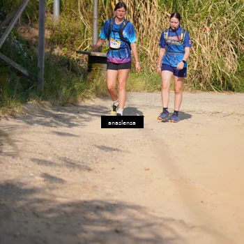 Runner Photo 5295501