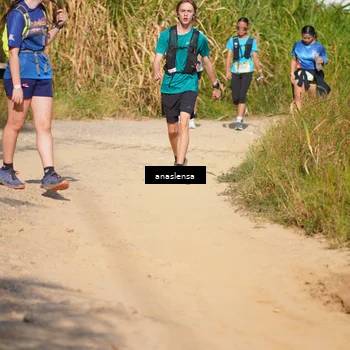 Runner Photo 5295679