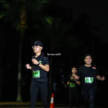 Runner Photo 5295710