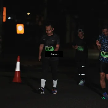Runner Photo 5295833