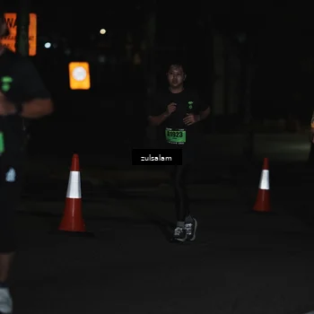 Runner Photo 5296293