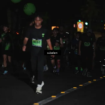 Runner Photo 5296567