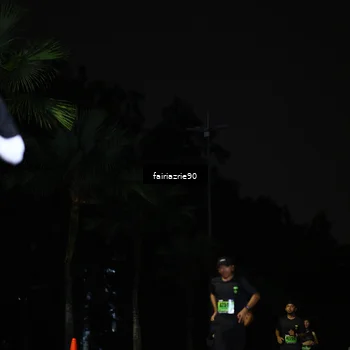 Runner Photo 5296919