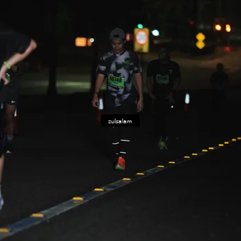 Runner Photo 5296923