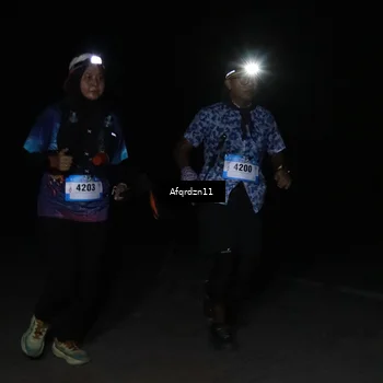 Runner Photo 5297146