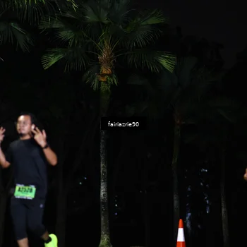 Runner Photo 5297175