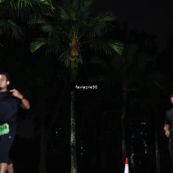 Runner Photo 5297177