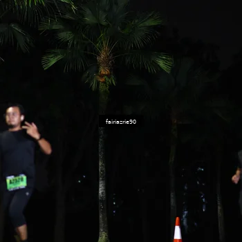Runner Photo 5297184
