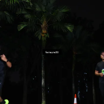 Runner Photo 5297188