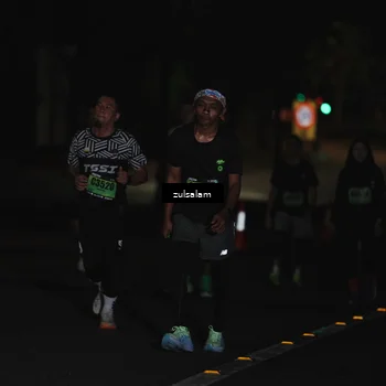 Runner Photo 5297772
