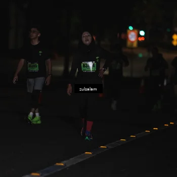 Runner Photo 5297802