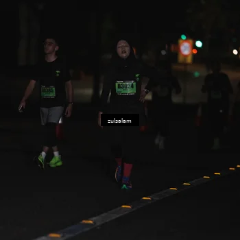 Runner Photo 5297805