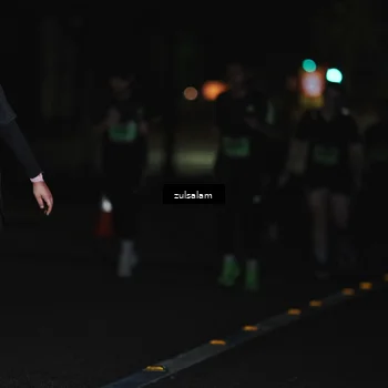Runner Photo 5297820