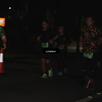 Runner Photo 5298458