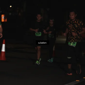 Runner Photo 5298465