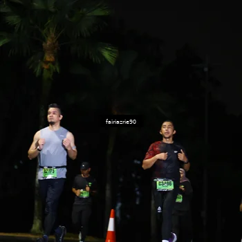 Runner Photo 5298784