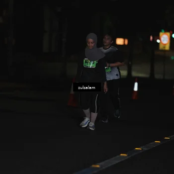 Runner Photo 5299195