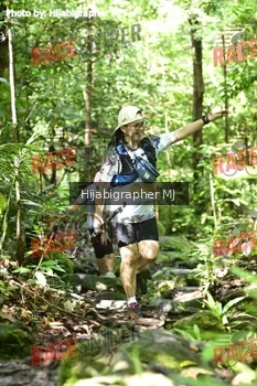 Runner Photo 529974