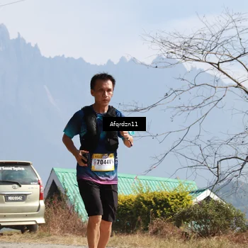 Runner Photo 5300113