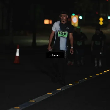 Runner Photo 5300141