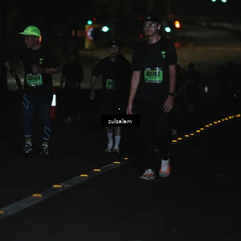 Runner Photo 5300161