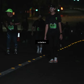 Runner Photo 5300162
