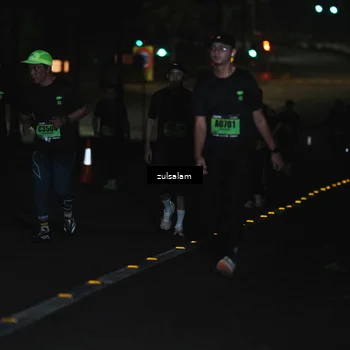 Runner Photo 5300163
