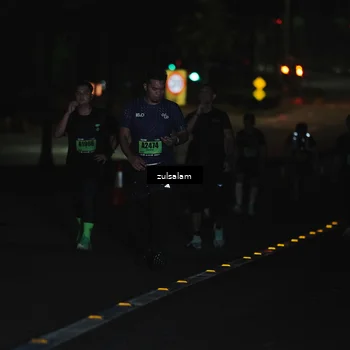Runner Photo 5300290