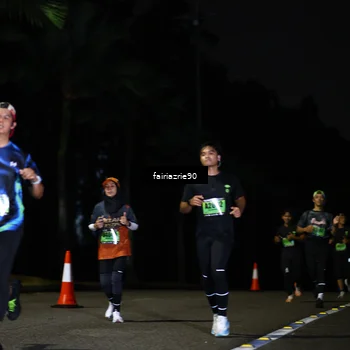 Runner Photo 5300295