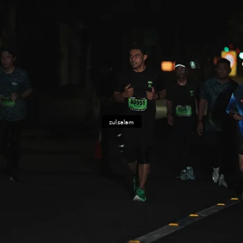 Runner Photo 5301648