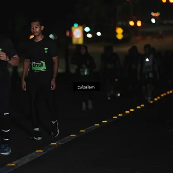 Runner Photo 5301778