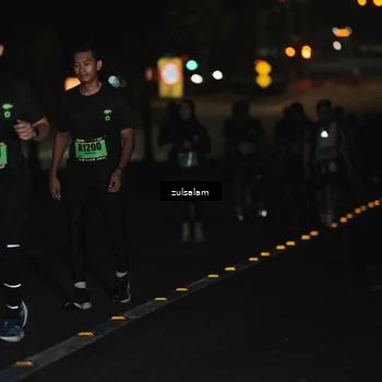 Runner Photo 5301779