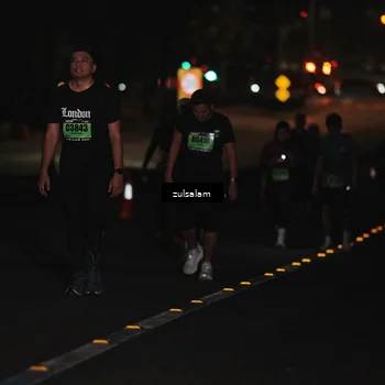 Runner Photo 5302145