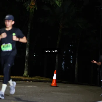 Runner Photo 5302446
