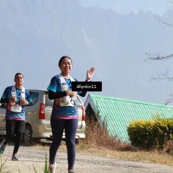 Runner Photo 5302789