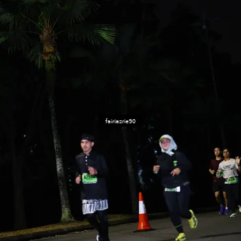 Runner Photo 5302876
