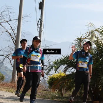 Runner Photo 5302880