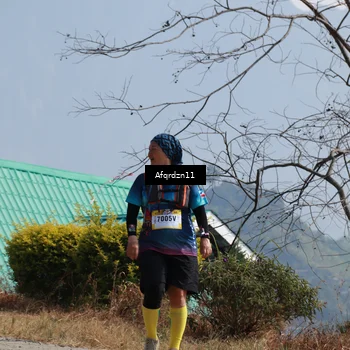 Runner Photo 5303625