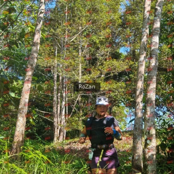 Runner Photo 5304