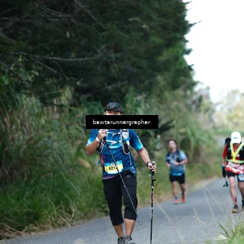 Runner Photo 5304181