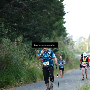 Runner Photo 5304373
