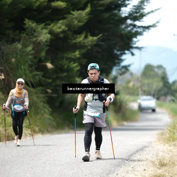 Runner Photo 5304602