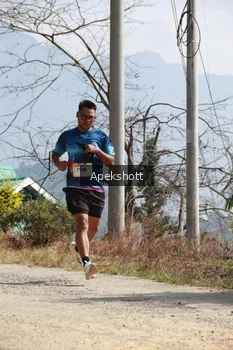 Runner Photo 5304801