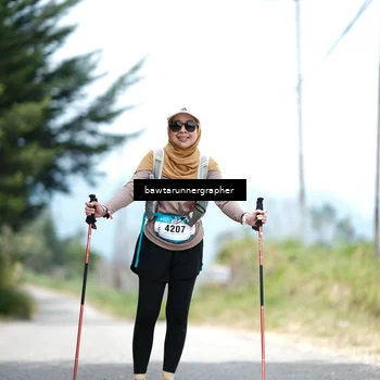 Runner Photo 5305608