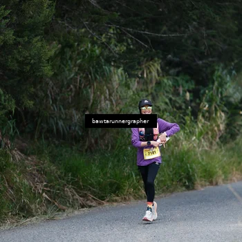 Runner Photo 5305770