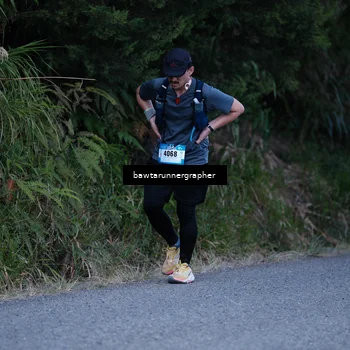 Runner Photo 5305801
