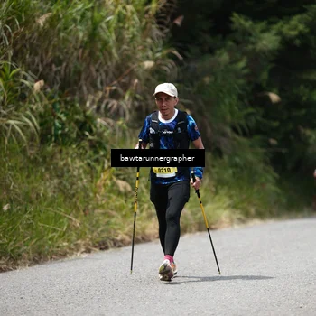 Runner Photo 5305956