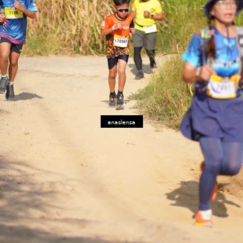 Runner Photo 5306061