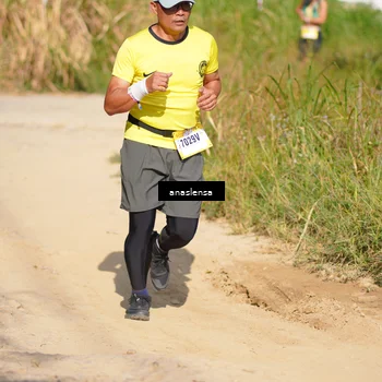 Runner Photo 5306243