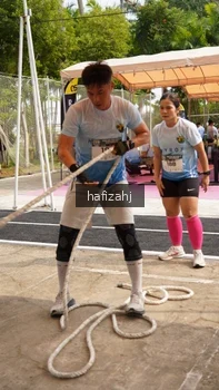 Runner Photo 5306626
